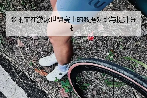 张雨霏在游泳世锦赛中的数据对比与提升分析